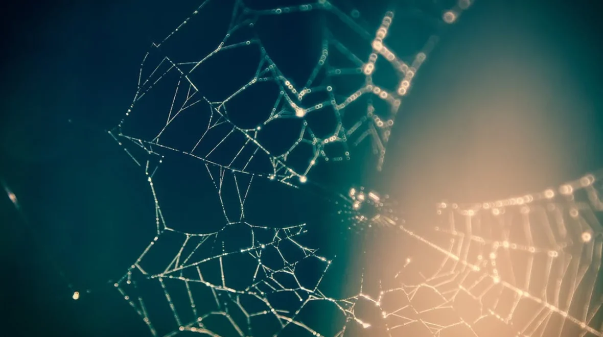 Wi-Fi 6: Faster, Stronger, and Smarter – Here’s Why You Need It